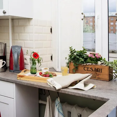 شقة City Center. Flat-studio Seagul *